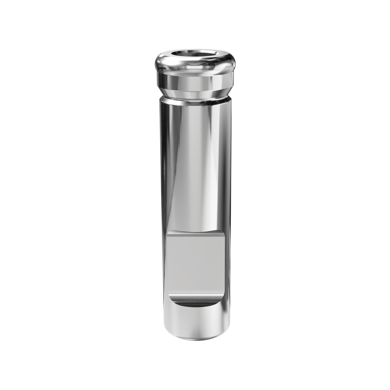 Locator Abutment Analog