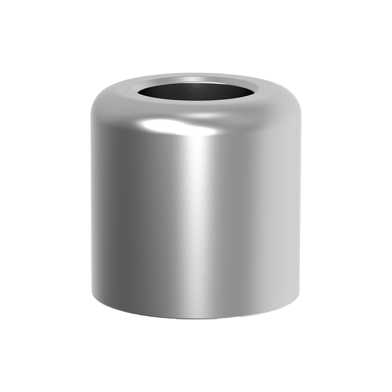 Screw Abutment ProHealing Cap