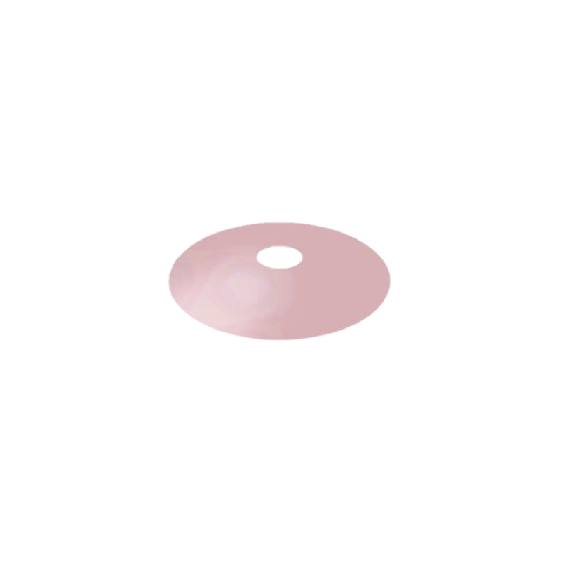 Locator Abutment ProtecTive Disk